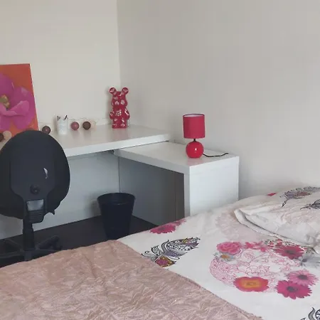 Le 135, Spacieux Entre Et Volcans *