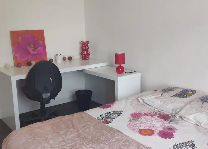 Le 135, Spacieux Entre Et Volcans *