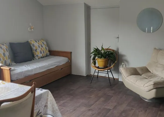 Le 135, Spacieux Entre Et Volcans * Ceyrat