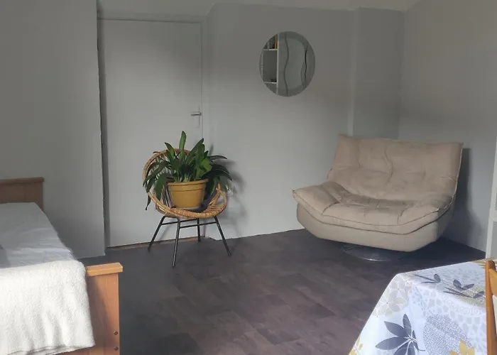 Le 135, Spacieux Entre Et Volcans Appartement *