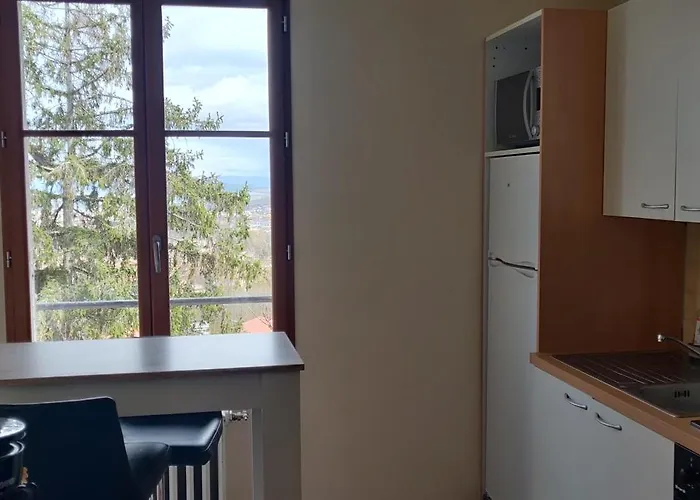 Le 135, Spacieux Entre Et Volcans